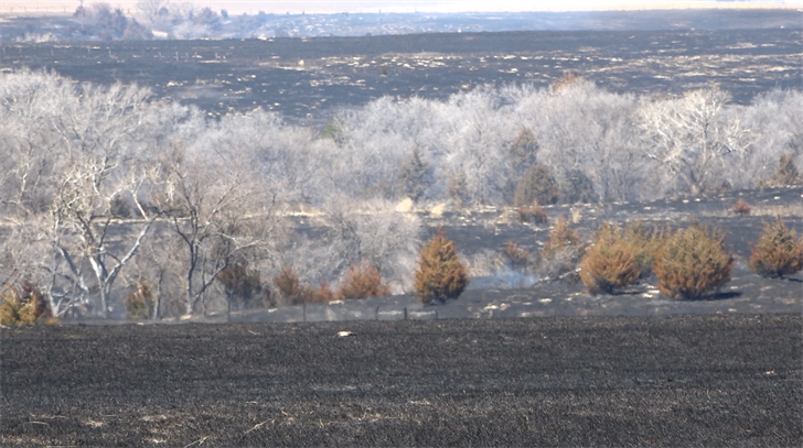 Gosper/Furnas county fire burns 30,000 acres, started when dead tree blew into power line - Vimarsana News