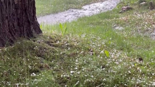 Hail, tornadoes spotted in central Nebraska - Vimarsana News