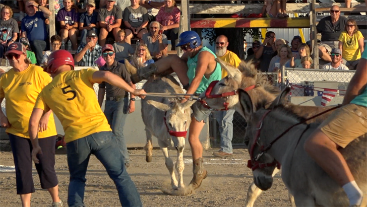 Howard County Fair hosts donkey baseball game