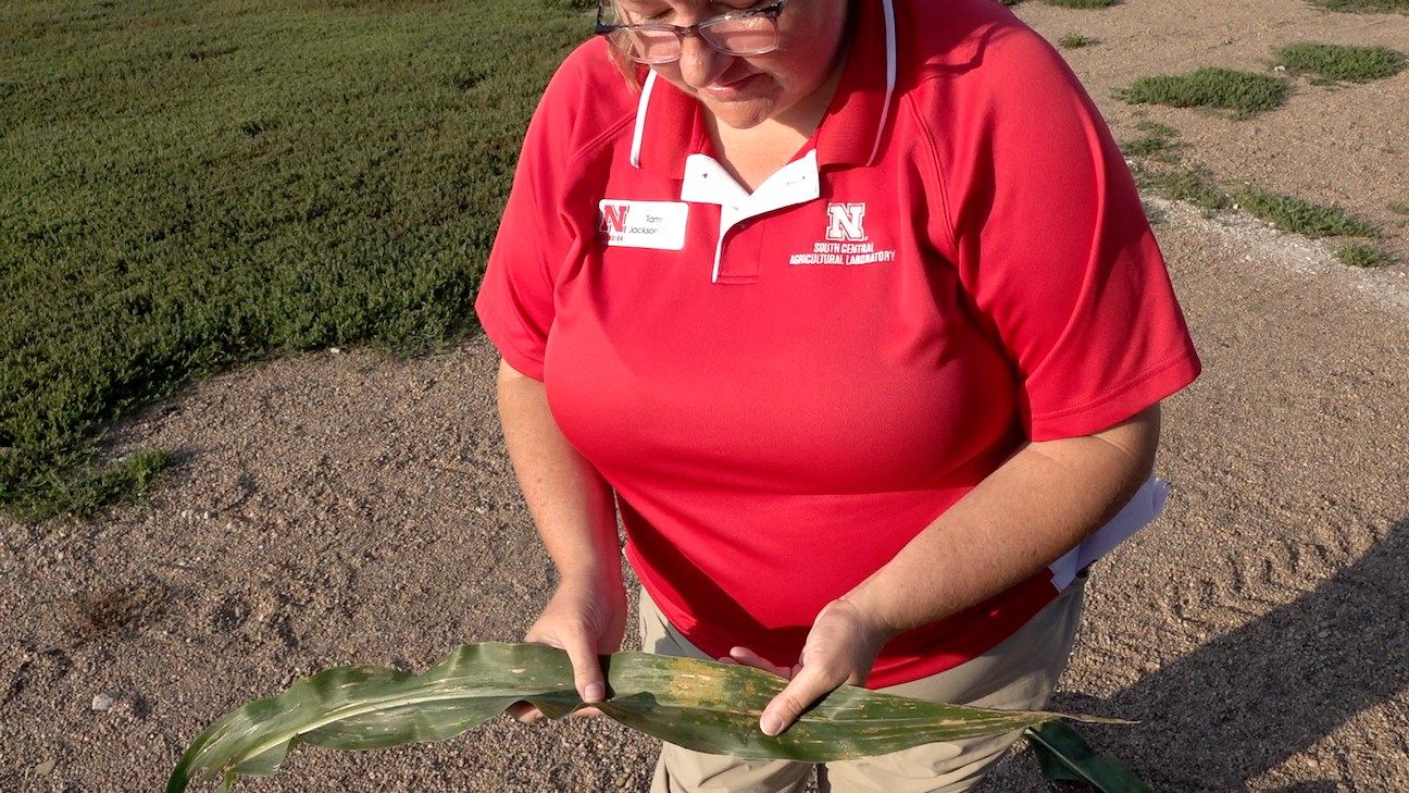 Agriculture specialists learn latest methods, technology at SCAL Field Day