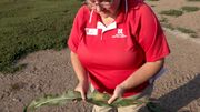 Agriculture specialists learn latest methods, technology at SCAL Field Day