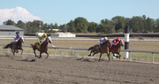 Lake Mac Casino Resort opens in Ogallala with temporary casino and quarter horse races